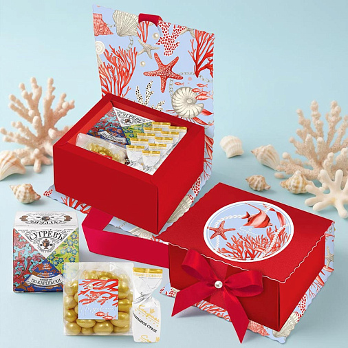 Подарочный набор: драже, шоколадные конфеты, чай 170г