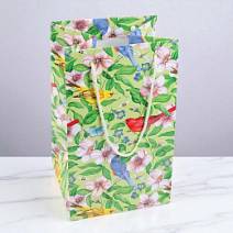 Подарочный пакет светло-зеленый с птицами 30*18,5*16,5см